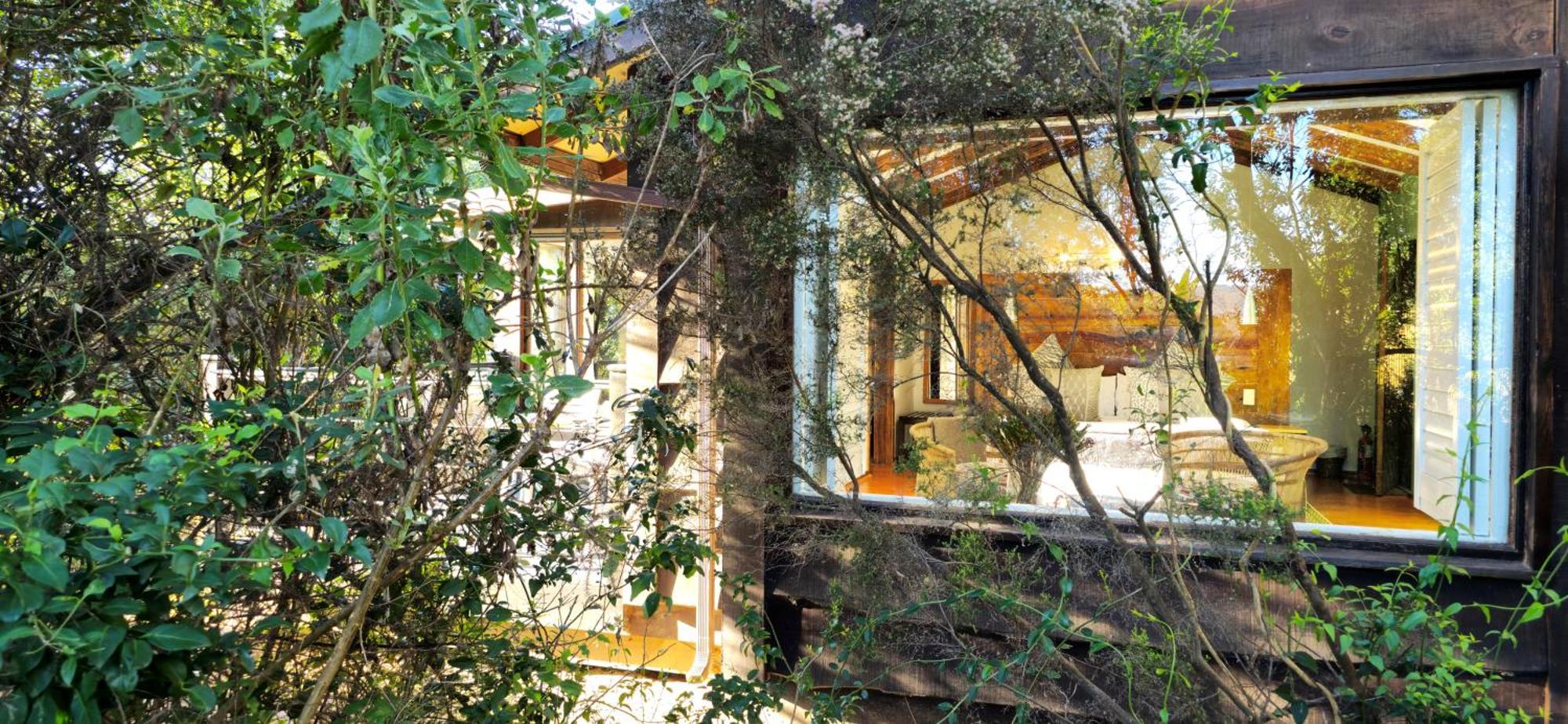 Elephant Hide Of Knysna Guest Lodge Luaran gambar