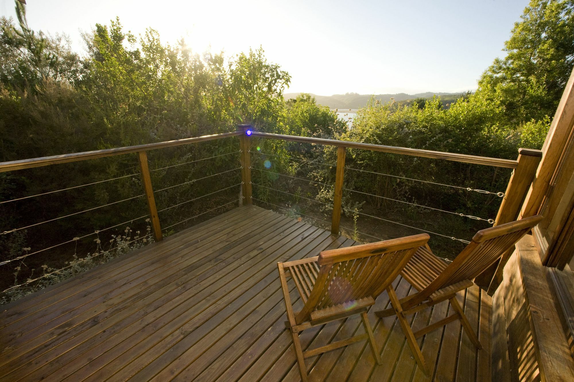 Elephant Hide Of Knysna Guest Lodge Luaran gambar