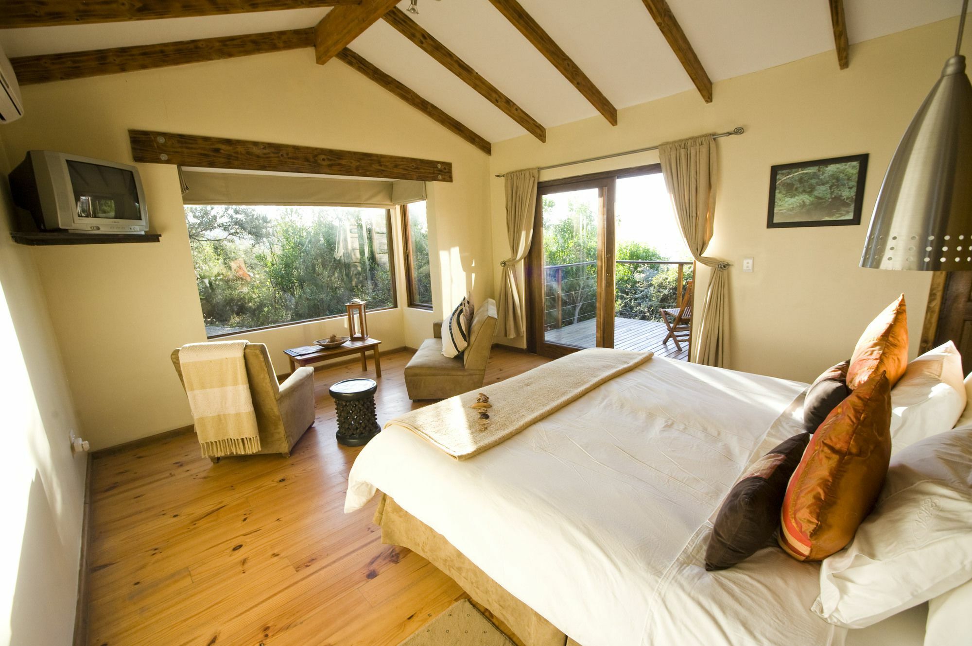 Elephant Hide Of Knysna Guest Lodge Luaran gambar